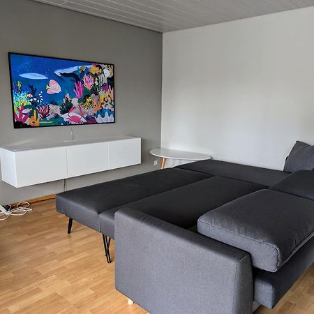 Storchennest - Schoenes, Ruhiges Apartment Mit Sonnenterrasse Tettnang Buitenkant foto